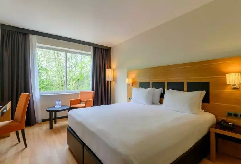 اتاق استاندارد با تخت بزرگ, a&o Brussel Centrum