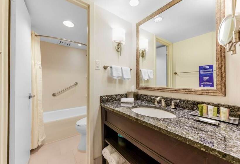 스탠다드 룸 더블 침대 2개, Capital Hilton