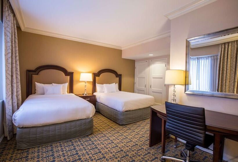 디럭스 룸 도시 전망, Capital Hilton