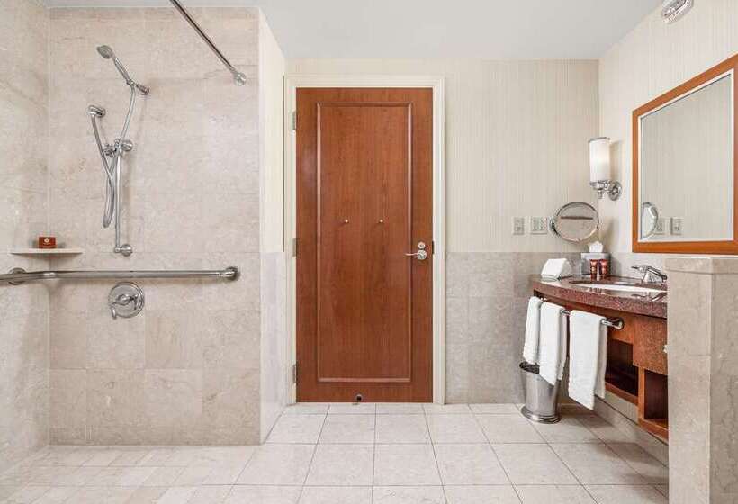 스탠다드 룸, Capital Hilton