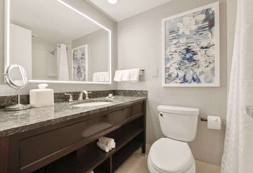 스탠다드 룸 킹사이즈 침대, Capital Hilton