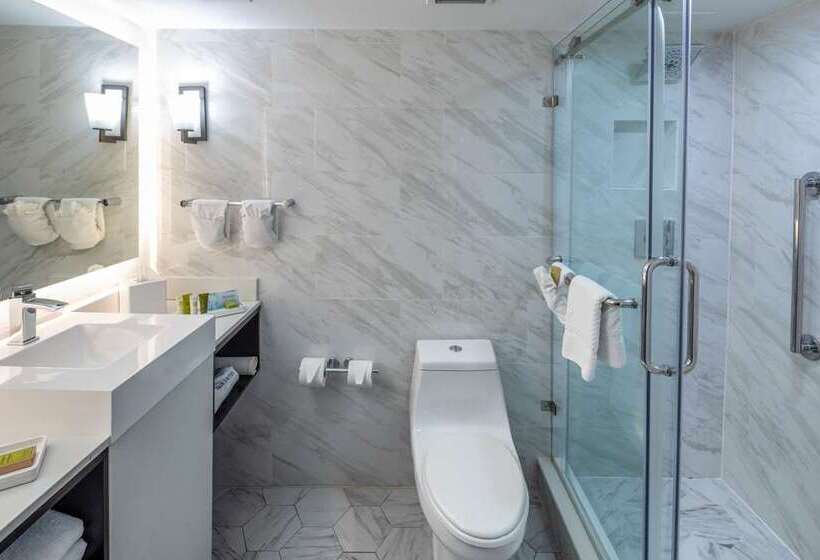 스탠다드 룸 킹사이즈 침대, Capital Hilton