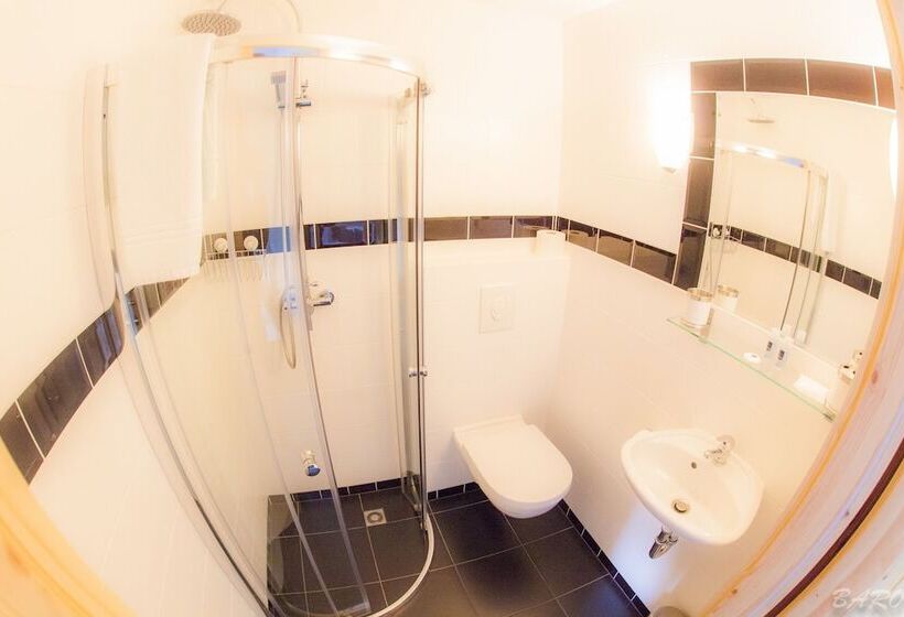 اتاق استاندارد, Dirbach Plage