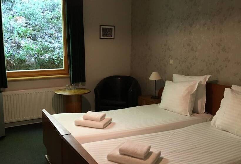 اتاق استاندارد, Dirbach Plage