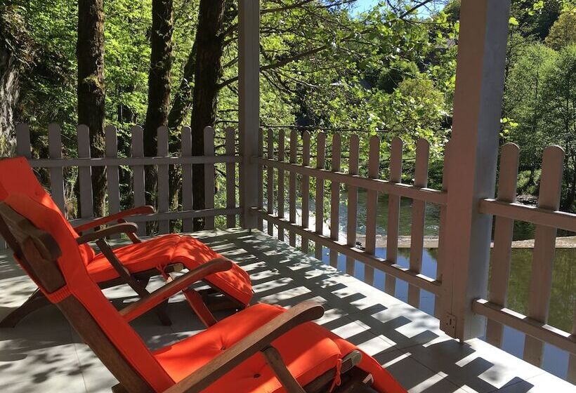 اتاق سوپریور, Dirbach Plage