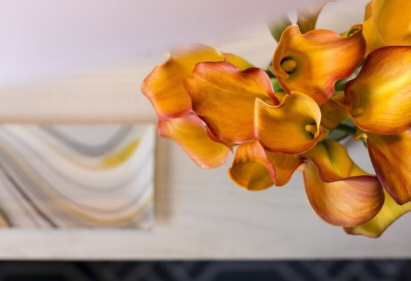 غرفه قياسيه سريرين مزدوجين, Four Seasons Hotel Atlanta