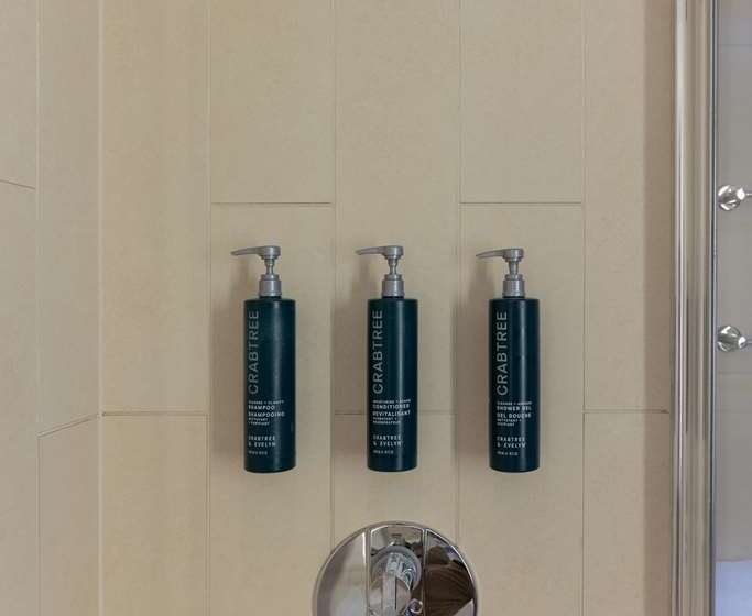 اتاق سوپریور با تخت بزرگ, Hilton Prague Old Town