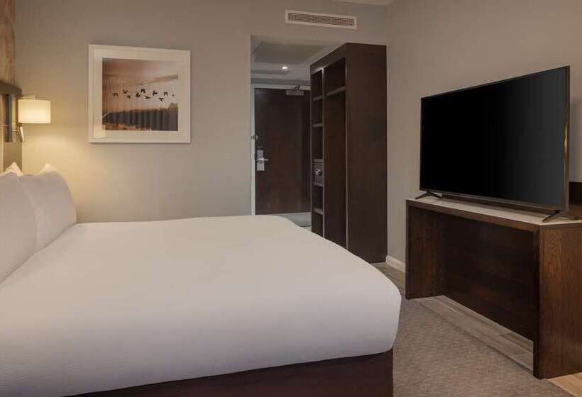 اتاق سوپریور با تخت بزرگ, Hilton Prague Old Town