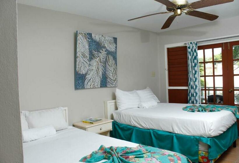 스탠다드 싱글 룸, Ocean Palms