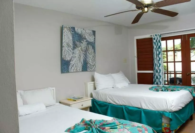 اتاق استاندارد یک نفره, Ocean Palms