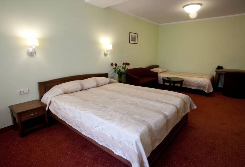 اتاق راحتی سه تخته, Airinn Vilnius