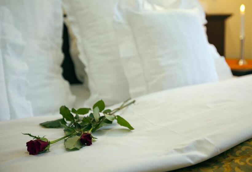 غرفة قياسية فردية, Excelsior