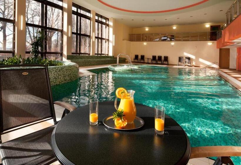 غرفة قياسية مزودة بجاكوزى, Excelsior