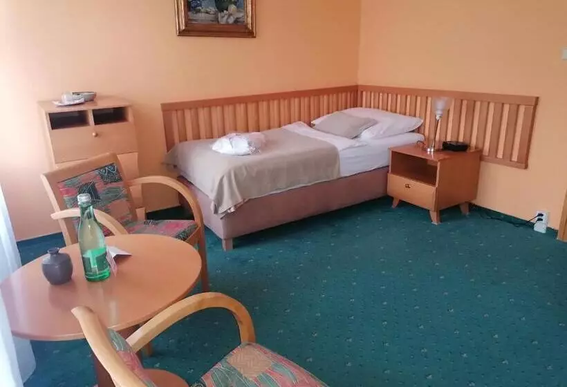 اتاق استاندارد یک نفره, Monti Spa