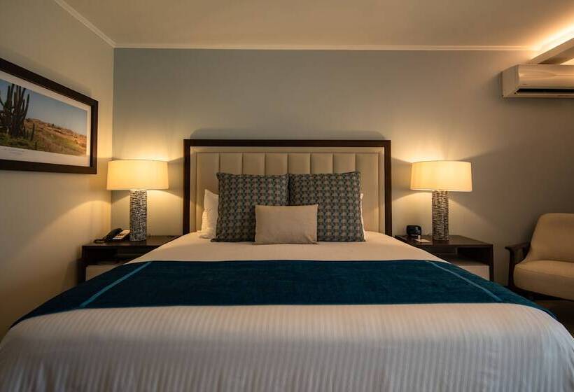 اتاق لوکس با چشمانداز دریا, Manchebo Beach Resort And Spa