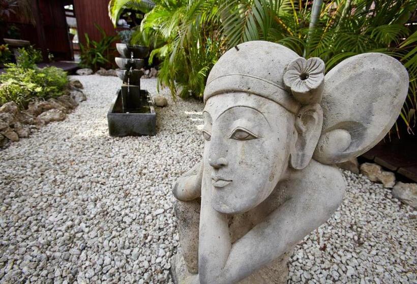 اتاق لوکس با چشمانداز باغ, Manchebo Beach Resort And Spa