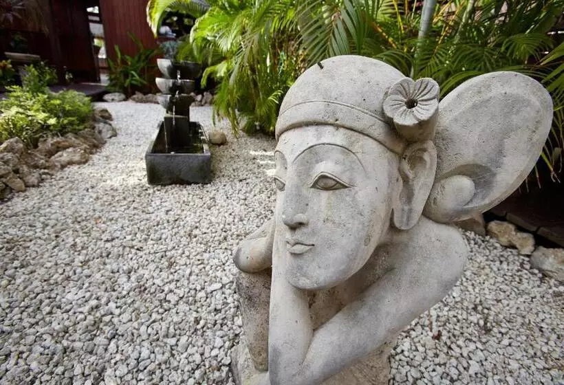 اتاق لوکس با چشم‌انداز باغ, Manchebo Beach Resort And Spa