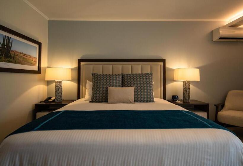 اتاق لوکس با چشمانداز دریا, Manchebo Beach Resort And Spa