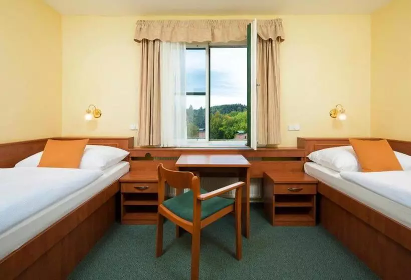 スタンダードルーム, Spa Resort Libverda Hotel Panorama