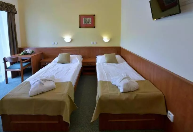 スーペリアールーム, Spa Resort Libverda Hotel Panorama