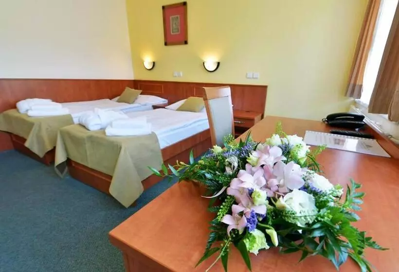 スーペリアールーム, Spa Resort Libverda Hotel Panorama