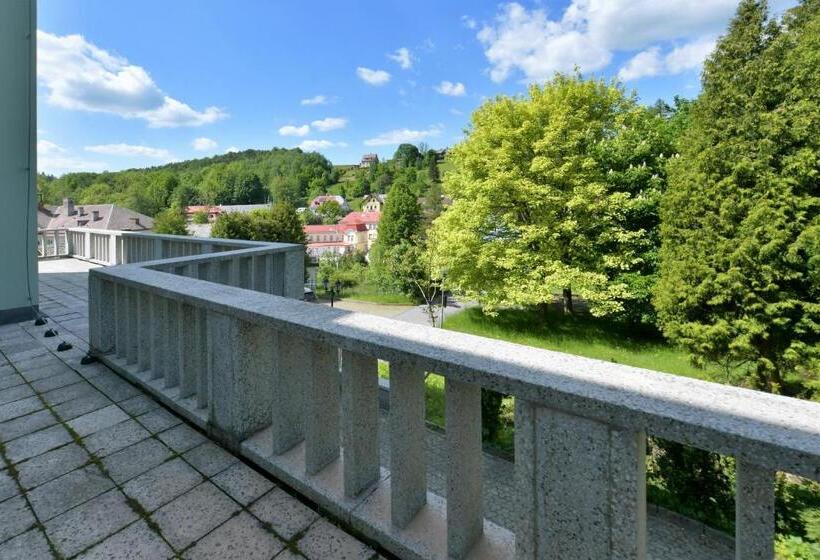 高级大房间, Spa Resort Libverda   Hotel Panorama