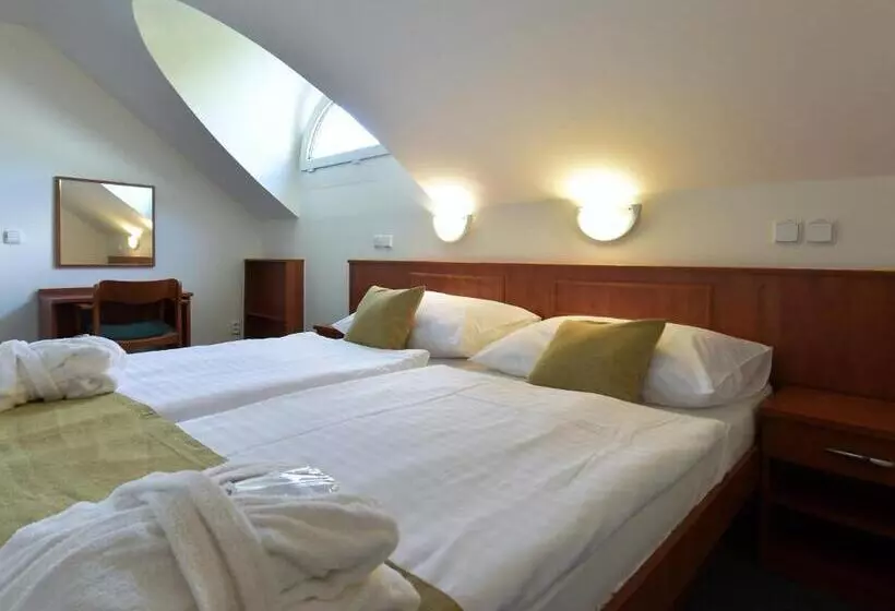 スイート, Spa Resort Libverda Hotel Panorama