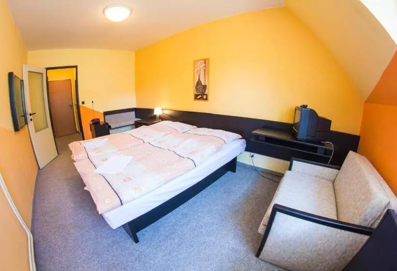 اتاق استاندارد, Sporthotel Bohemia