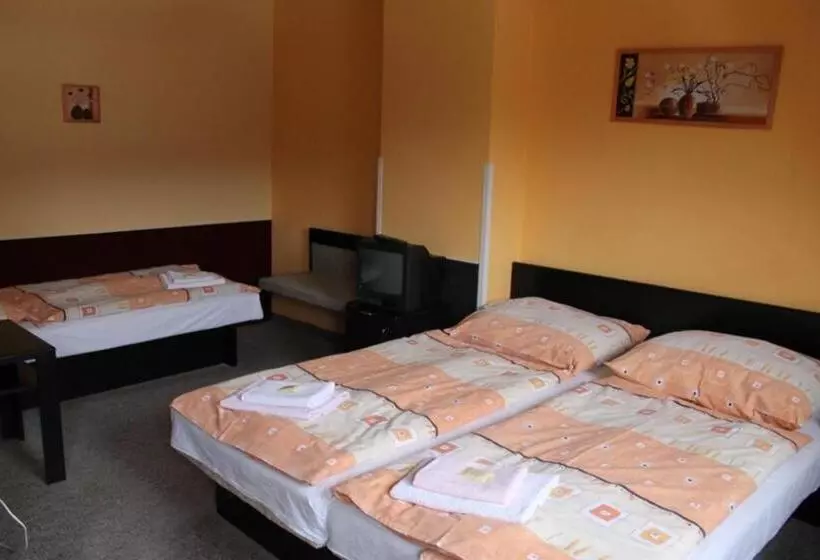 اتاق استاندارد سه نفره, Sporthotel Bohemia