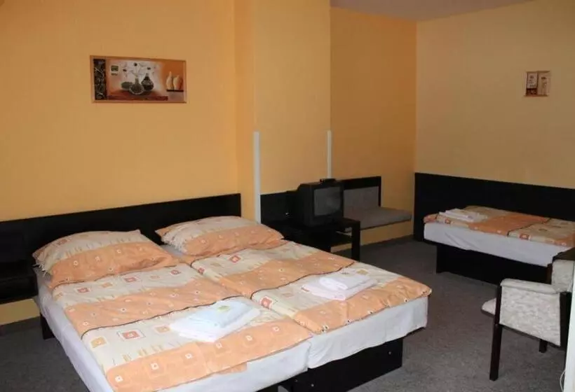 اتاق استاندارد سه نفره, Sporthotel Bohemia
