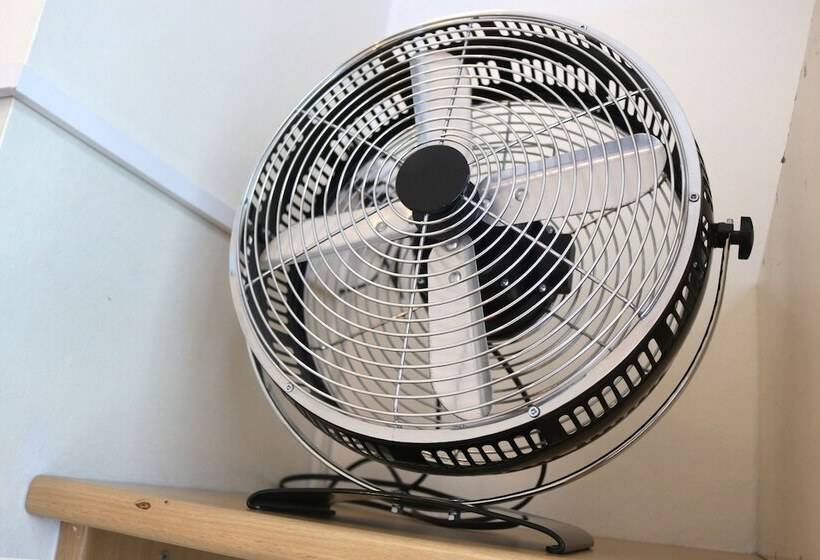 اتاق استاندارد سه نفره, Doria