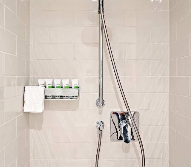 シングルデラックスルーム, Dorint Parkhotel Meißen