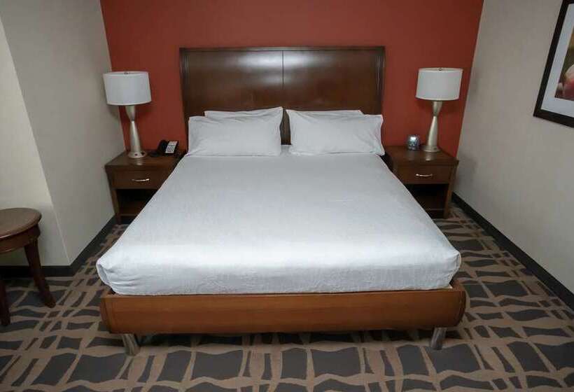 주니어 스위트 킹사이즈 침대, Hilton Beijing