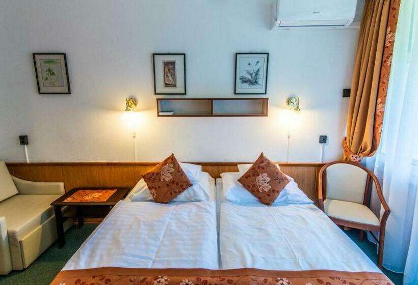 Номер Стандарт с Балконом, Jogar