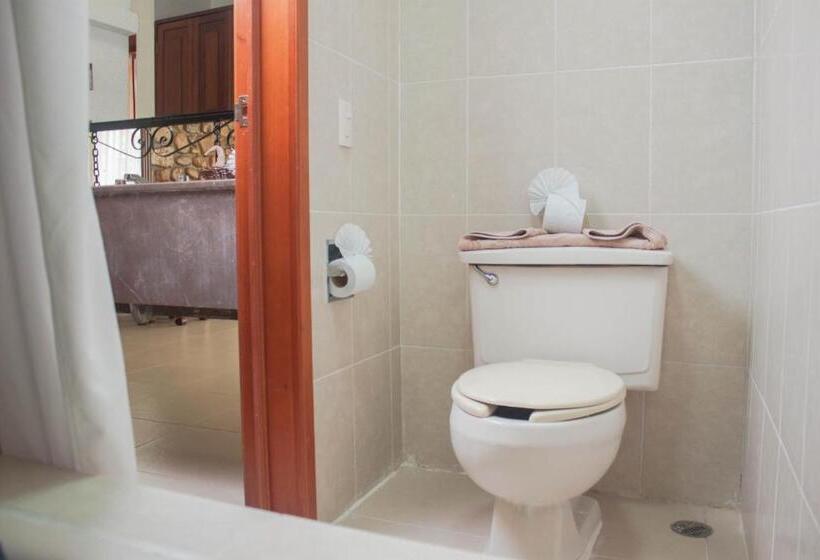 スーペリアールーム, Nututun Palenque