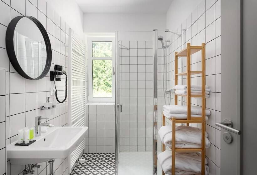 Номер Стандарт, Orlík