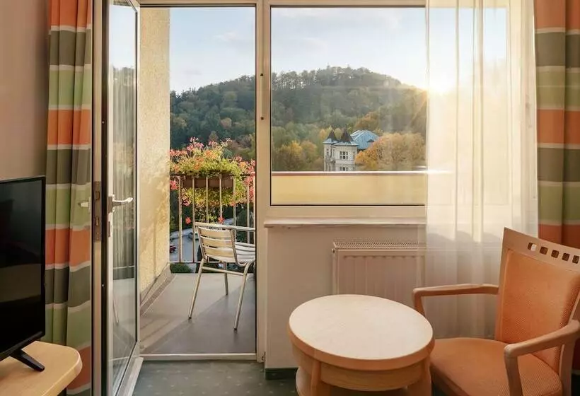 اتاق استاندارد, Spa Resort Sanssouci