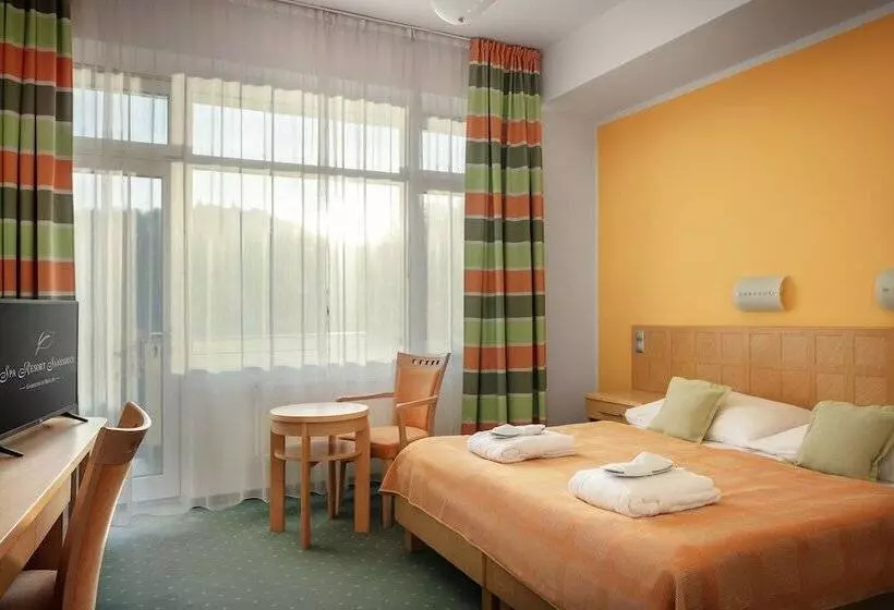 اتاق استاندارد, Spa Resort Sanssouci