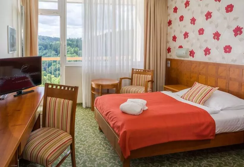 اتاق استاندارد یک نفره, Spa Resort Sanssouci