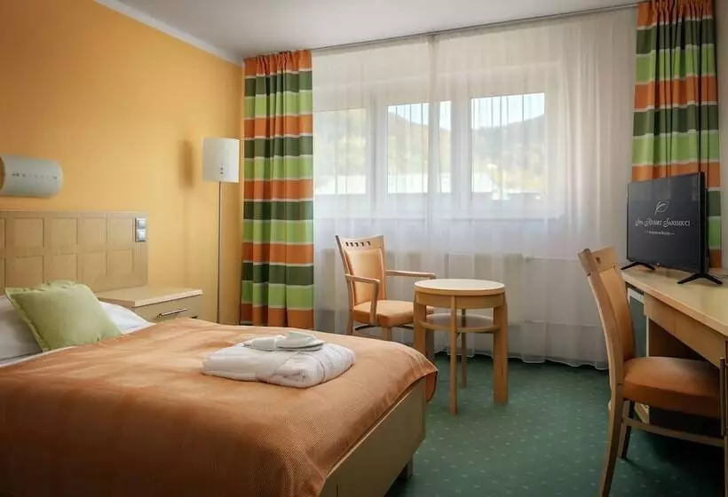 اتاق استاندارد یک نفره, Spa Resort Sanssouci