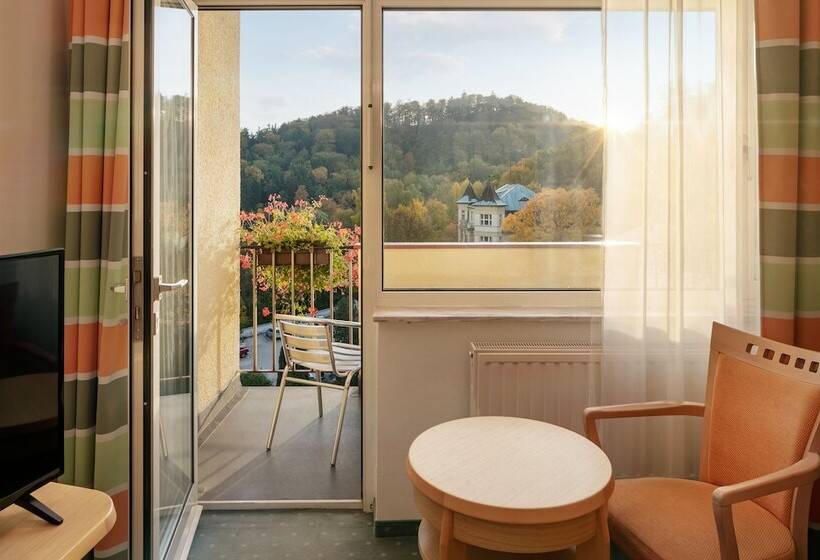 غرفة قياسية ثلاثية, Spa Resort Sanssouci