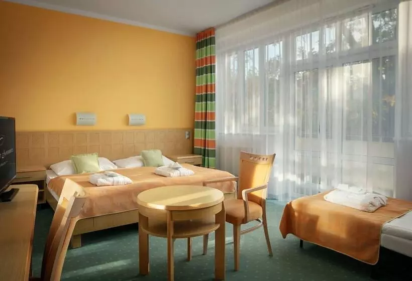 اتاق استاندارد سه نفره, Spa Resort Sanssouci