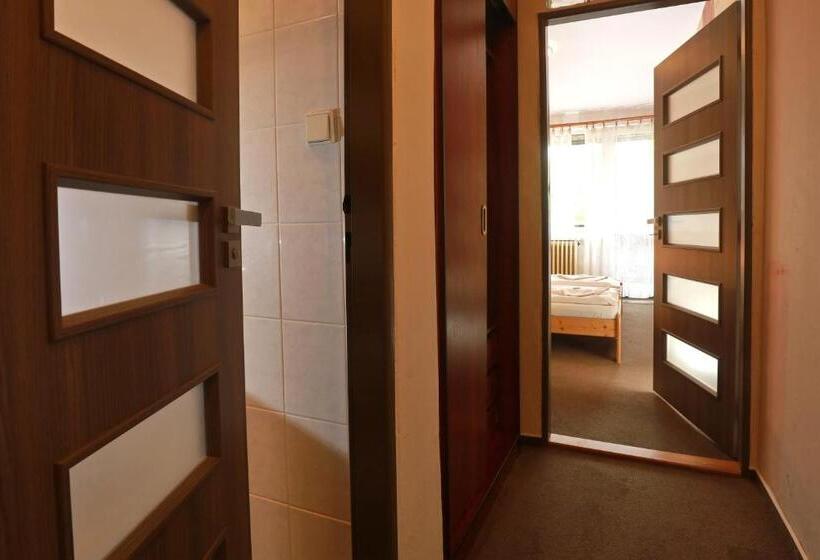 Номер Deluxe Одноместный, Zimní Stadion Náchod