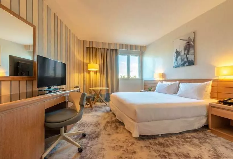 身障者適用ダブルベッド付きスタンダードルーム, Holiday Inn Nice   Port St Laurent, An Ihg