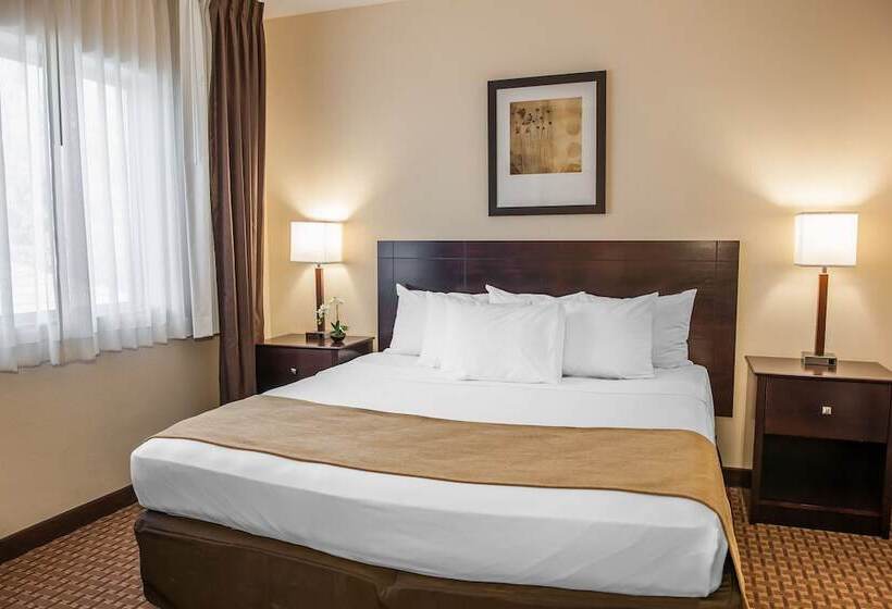 סוויטה, Comfort Suites