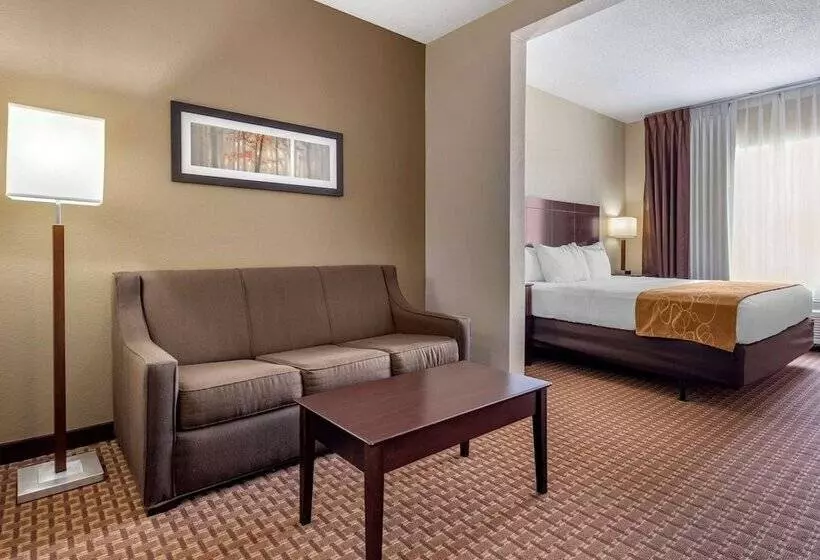 キングサイズベッドのスイートルーム, Comfort Suites