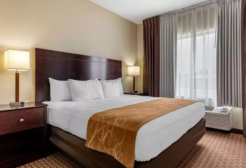 キングサイズベッドのスイートルーム, Comfort Suites