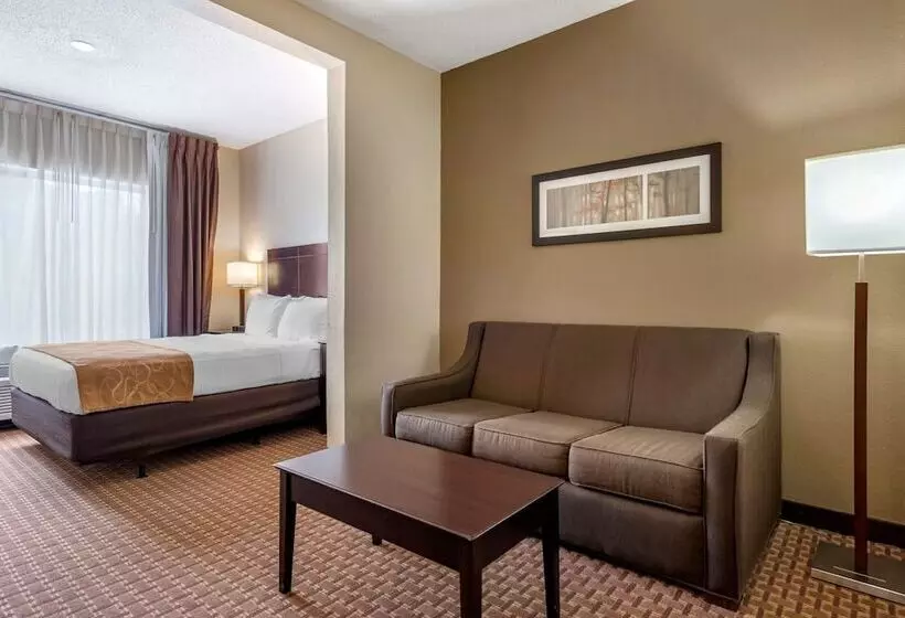 キングサイズベッドのスイートルーム, Comfort Suites