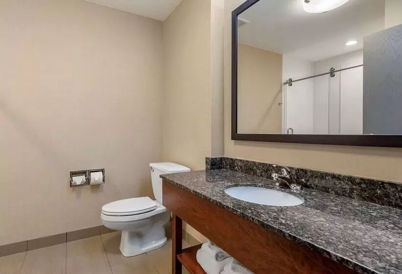 身障者適用スイートルーム, Comfort Suites