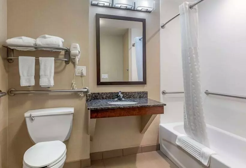 身障者適用スイートルーム, Comfort Suites